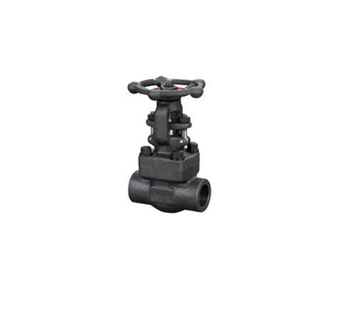 Van Cổng Bằng Thép Đúc Nối Ren NPT
