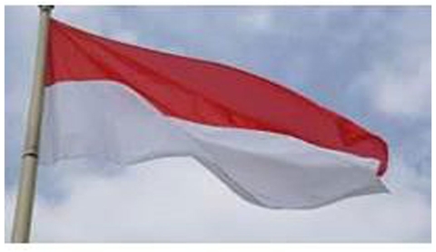 Chuyển phát nhanh đi Indonesia