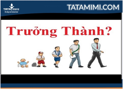 Mẫu người đàn ông trưởng thành