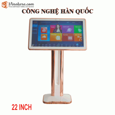 MÀN HÌNH CẢM ỨNG ANA 22 INCH