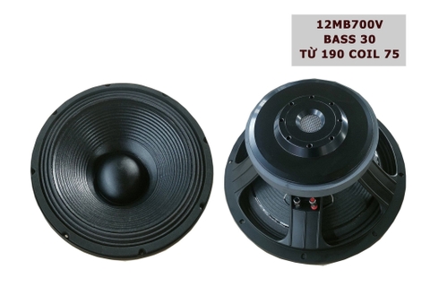 Củ loa bass rời bass 30 3 tấc từ 190 coil 75,12MB700V