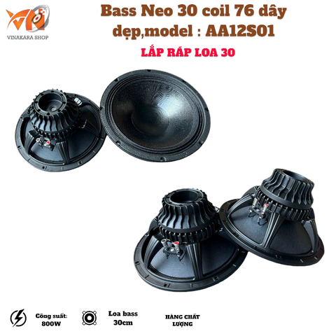 Bass Neo 30 coil 76 dây dẹp,model : AA12S01