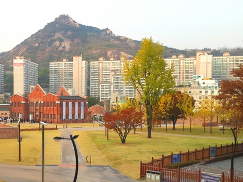 Thủ đô SEOUL - “thiên đường mùa thu đến từ các con phố”