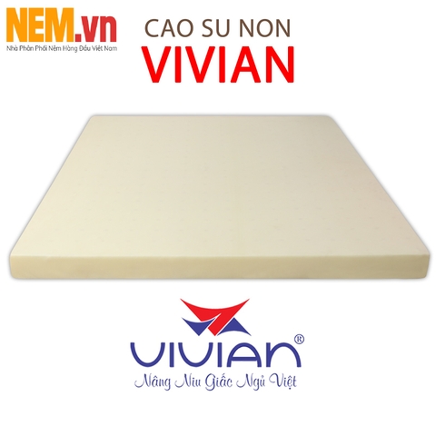 NỆM CAO SU NON THÔNG HƠI VIVIAN