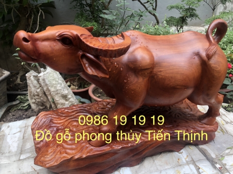 Tượng trâu phong thủy gỗ hương gia lai