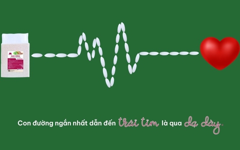 CON ĐƯỜNG NGẮN NHẤT DẪN ĐẾN TRÁI TIM LÀ QUA DẠ DÀY