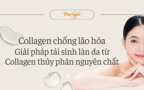 Collagen Chống Lão Hóa: Giải Pháp Tái Sinh Làn Da Từ Collagen Thủy Phân Nguyên Chất
