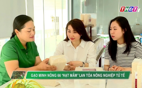 GẠO MINH NÔNG 66 “HẠT MẦM” LAN TOẢ NÔNG NGHIỆP TỬ TẾ
