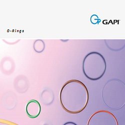 CATALOGUE ORING GAPI