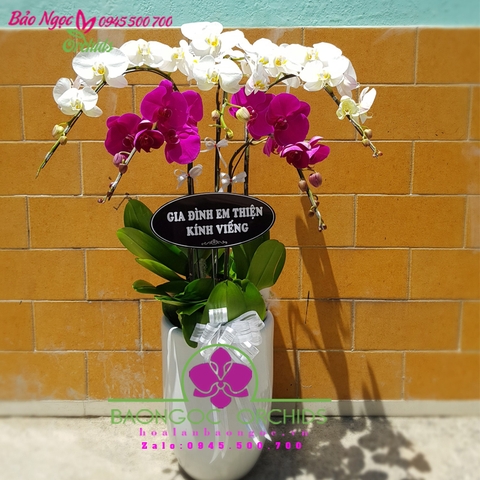 Hoa tang lễ HDS-05249