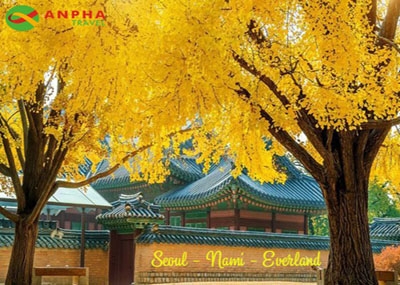 Tour Hàn Quốc: Seoul - Nami - Everland - Tháp Namsan