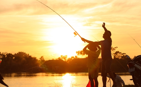 Hàng trăm cần thủ kiếm bộn cá trên dòng sông lũ ở Hà Nội