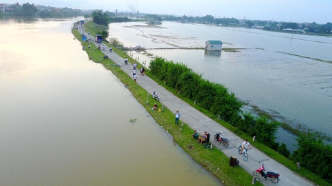 Chương Mỹ: Hàng trăm cần thủ buông câu trên dòng nước lũ