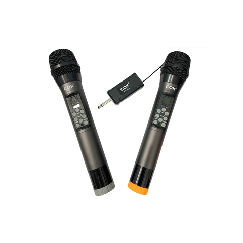 Bộ microphone không dây C.O.K ST-213 (2 Mic)