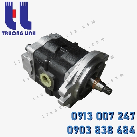 DSG05-18L182 Hydraulic Gear Pump