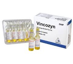 Vincozyn