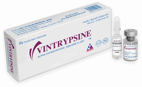 vintrypsine