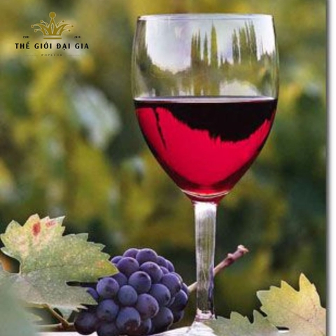 Sự khác biệt giữa hai loại rượu vang đỏ và rượu vang trắng