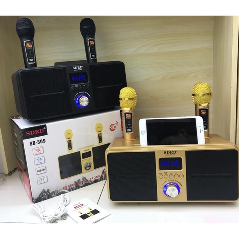 Loa karaoke Bluetooth SD-309 ( 2 micro )