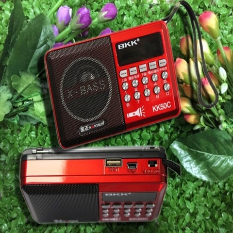 LOA THẺ NHỚ FM USB BKK K50C