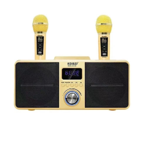 Loa karaoke Bluetooth SD-309 ( 2 micro )