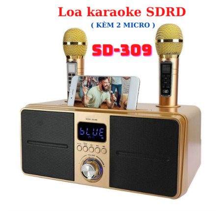 Loa karaoke Bluetooth SD-309 ( 2 micro )