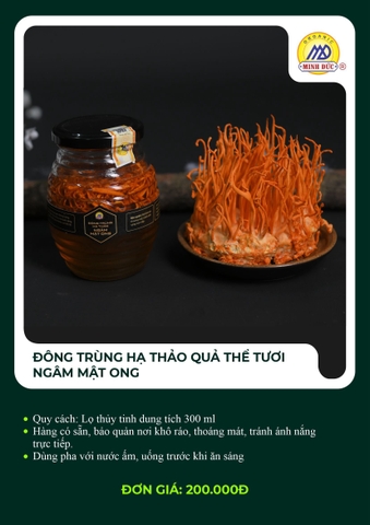 Đông trùng hạ thảo quả thể tươi ngâm mật ong