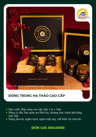 Đông trùng hạ thảo cao cấp