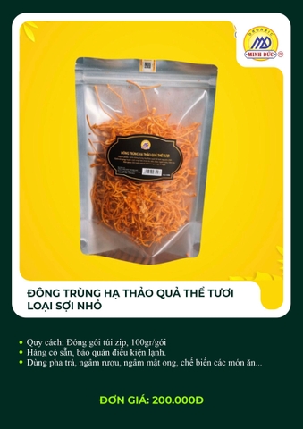 Đông trùng hạ thảo quả thể tươi loại sợi nhỏ