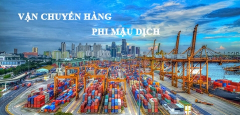 Dịch vụ vận chuyển Hàng phi mậu dịch