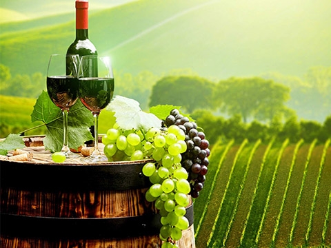 Dịch vụ Nhập khẩu Rượu, Nhập khẩu ủy thác rượu uy tín, chất lượng