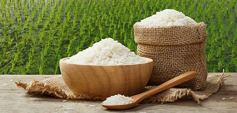 Xuất khẩu gạo vẫn đối mặt nhiều khó khăn