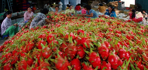 Xuất khẩu nông sản “ngại” gì từ thị trường truyền thống?