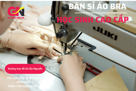 Địa chỉ bán sỉ áo bra học sinh cao cấp TPHCM