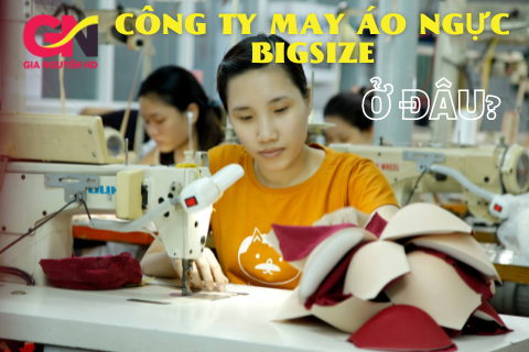 Công ty may áo ngực bigsize tại TPHCM