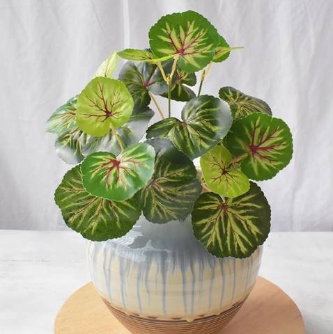 Cành lá giả- CÂY SEN CẠN - HC836