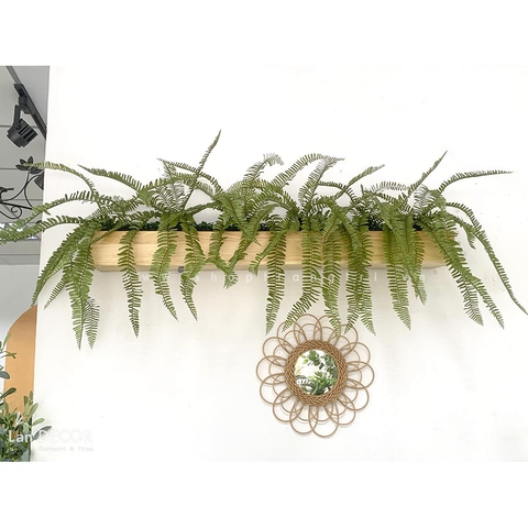 Bồn cây dương xỉ trang trí tiểu cảnh Lan Decor - BC073