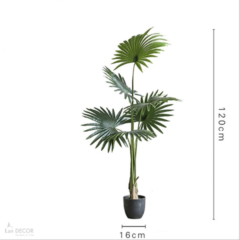 CÂY CỌ CẢNH TRANG TRÍ KHÔNG GIAN XANH LAN DECOR 120CM - LC3031