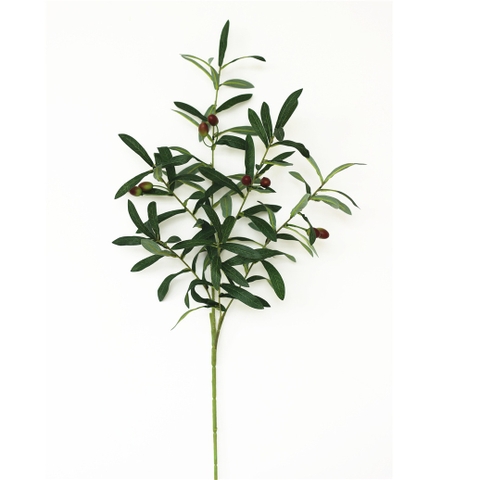 CÀNH OLIU 6 NHÁNH (CÓ QUẢ) - HC079