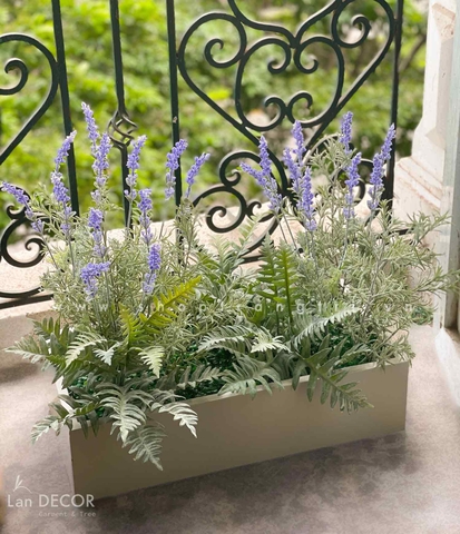 BỒN CÂY HOA LAVENDER TRANG TRÍ ĐẸP, HIỆN ĐẠI  - BC057