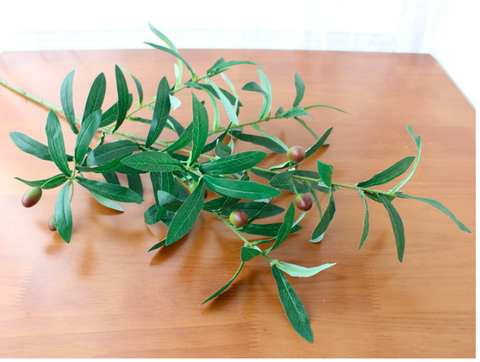 CÀNH OLIU 6 NHÁNH (CÓ QUẢ) - HC079