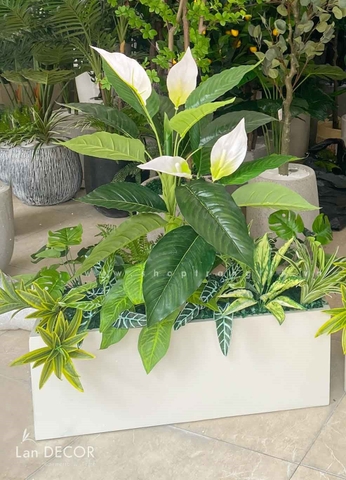 BỒN CÂY MIX TRANG TRÍ KHÔNG GIAN XANH LAN DECOR - BC110