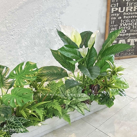 Tiểu Cảnh Cây Giả- Bồn Cây Giả Decor Cửa Hiệu- BC153