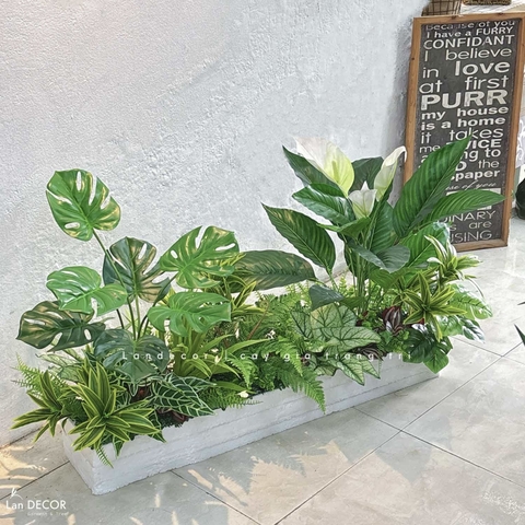 Tiểu Cảnh Cây Giả- Bồn Cây Giả Decor Cửa Hiệu- BC153