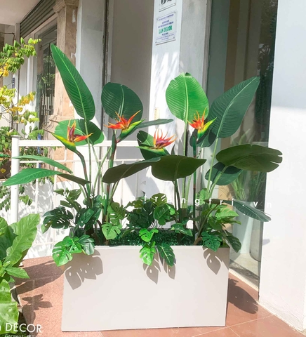 TỔNG HỢP NHỮNG MẪU BỒN CÂY TRANG TRÍ TIỂU CẢNH XANH MÁT