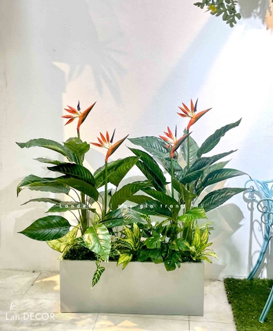 TỔNG HỢP NHỮNG MẪU BỒN CÂY TRANG TRÍ TIỂU CẢNH XANH MÁT