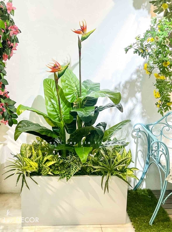 TỔNG HỢP NHỮNG MẪU BỒN CÂY TRANG TRÍ TIỂU CẢNH XANH MÁT