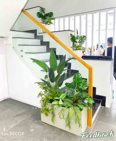 TỔNG HỢP NHỮNG MẪU BỒN CÂY TRANG TRÍ TIỂU CẢNH XANH MÁT