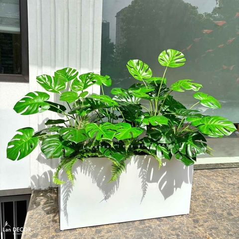 Bồn Cây Giả- Bồn Monstera Trang Trí Tiểu Cảnh Xanh Tươi (130X65X115cm)- BC226