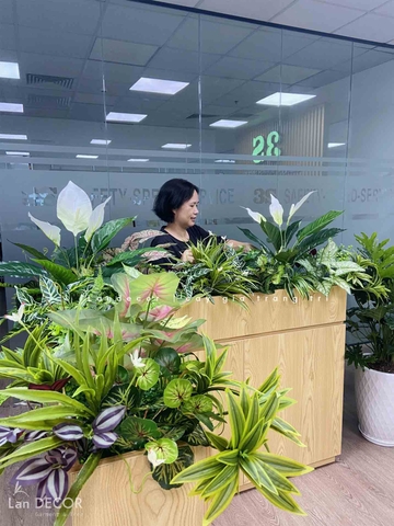 CÔNG TRÌNH BỒN CÂY CÔNG TY 3S - BC135